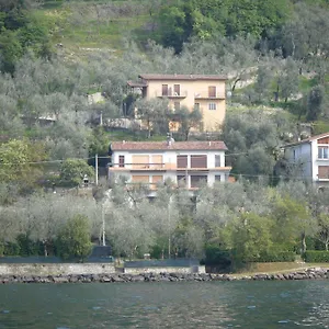 Olivo Campo