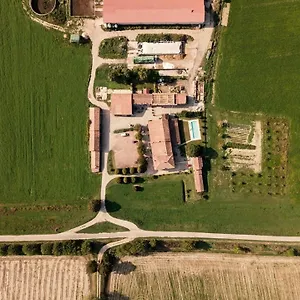 Albero Del Latte Italy